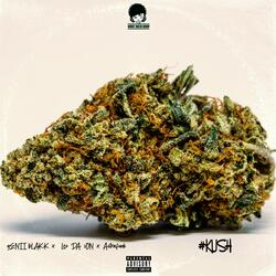 KUSH (feat. Leo Da Son & Astrafunk)