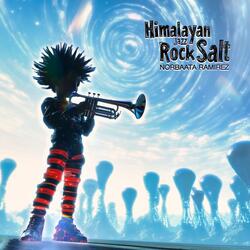 Himalayan Jazz Rock Salt