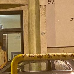 blessed (feat. Jiyū 370)