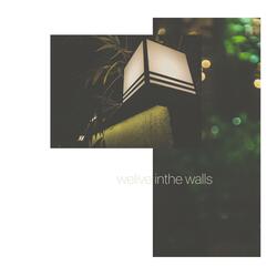 We Live In The Walls