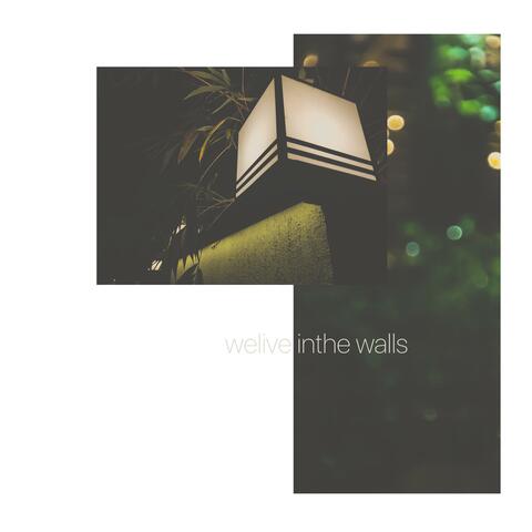 We Live In The Walls