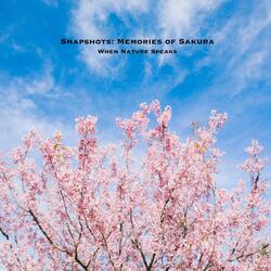 Snapshots: Memories of Sakura