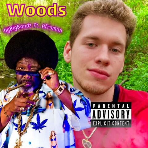 Woods (feat. Afroman)