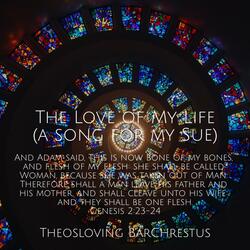 The Love of My Life (a song for my Sue)