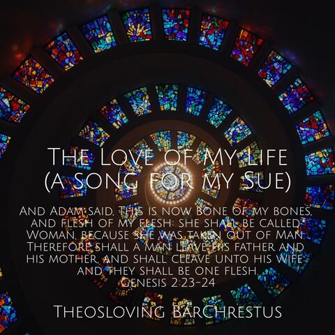 The Love of My Life (a song for my Sue)