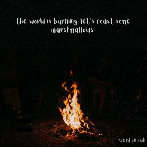 the world is burning, let's roast some marshmallows
