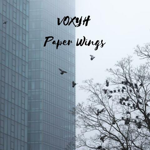 Paper Wings