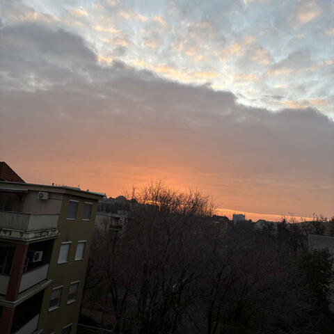 Walking home