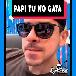 Papi Tu No Gata Car Audio