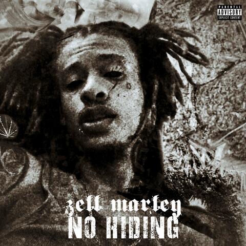 No Hiding
