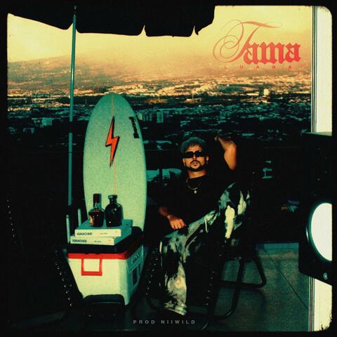 TAMA
