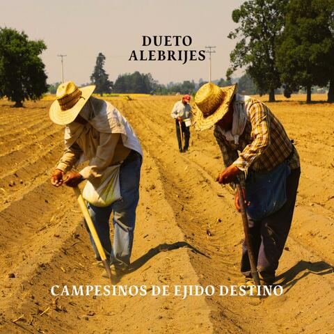 Campesinos de Ejido Destino