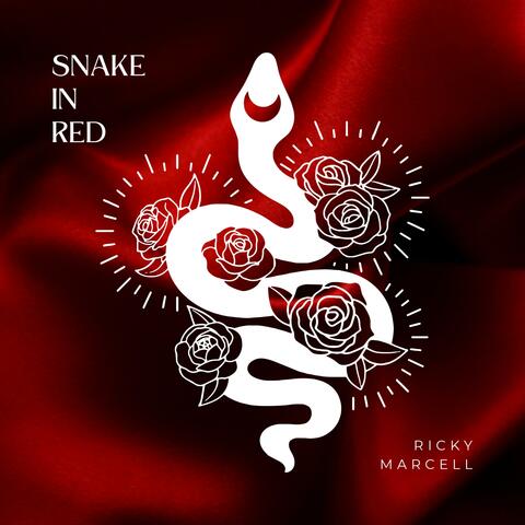 Snake In Red
