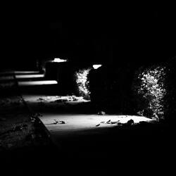 Bowser Castle 3 (from "Super Mario Kart")