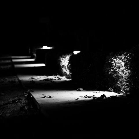 VGM Winter Remaster Sessions