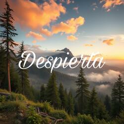 Despierta