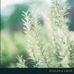 Scarborough Fair / Canticle