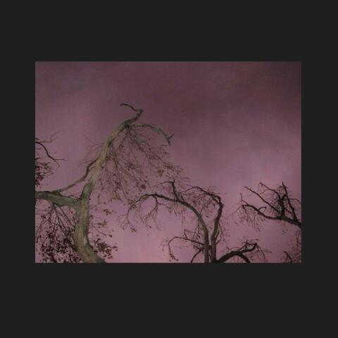 what happened to autumn