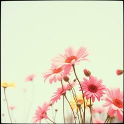 바람처럼 스쳐가는