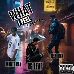 What I Feel (feat. Monte Ray & Bren Beck)