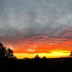 Ode to Caroline (feat. Greg Coe)