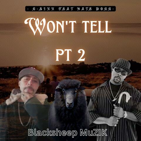 Wont Tell 2 (feat. Nate Dogg)