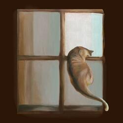 1 + 1 is window