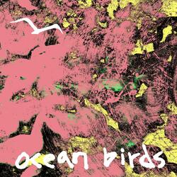 Ocean Birds
