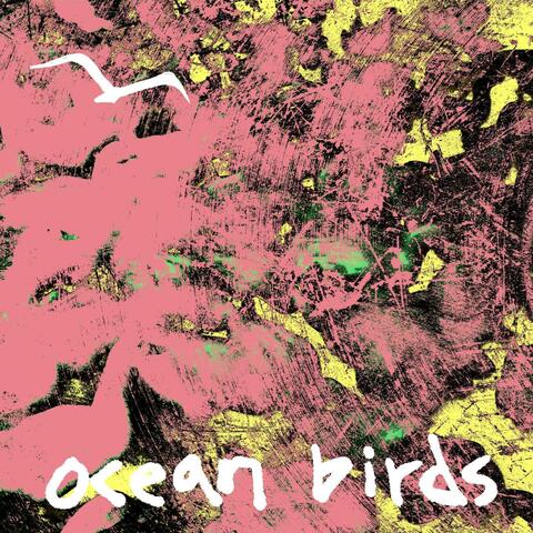 Ocean Birds