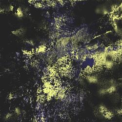 CATP*$$YWALK  (Club Mix)