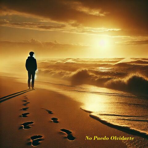 No Puedo Olvidarte