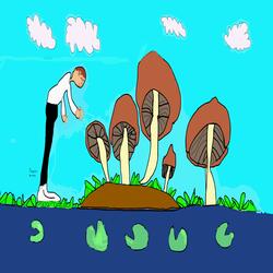 Psilocybin