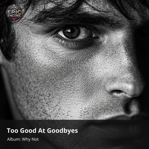 Too Good At Goodbyes