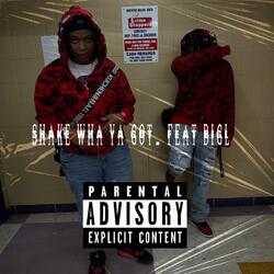 Shake wha ya got (feat. Ty)