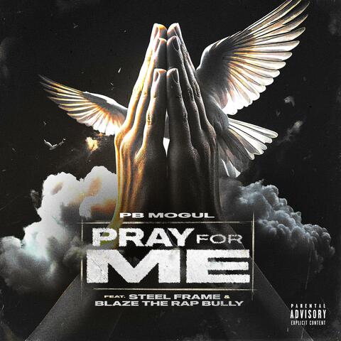 Pray For Me (feat. Steel Frame & Blaze The Rap Bully)