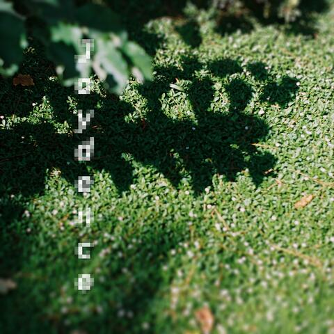 JOY.D-1