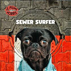 Sewer Surfer