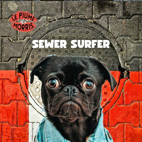 Sewer Surfer