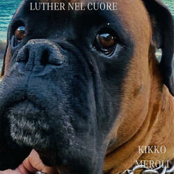 LUTHER NEL CUORE -DEDICATED TO MY BELOVED LUTHER-