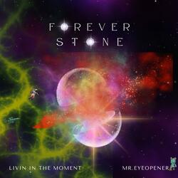 Forever Stone