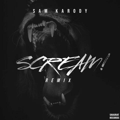 Scream! (Remix)