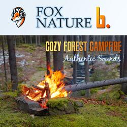 Cozy Forest Campfire