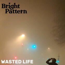 Wasted Life