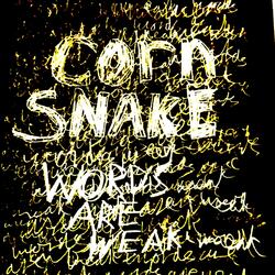 Words Are Weak