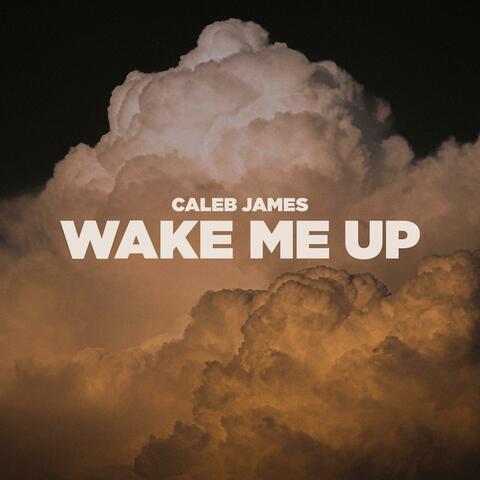 Wake Me Up