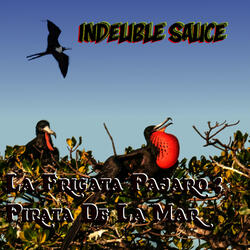 La Frigata Pajaro: Pirata de la Mar