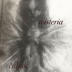 clingfilmsin (feat. wisteria)