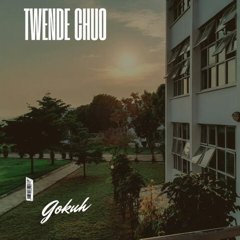 Twende chuo (feat. Mickyarts tz)