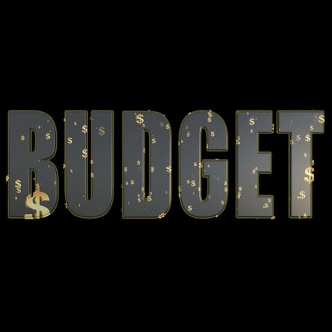 Budget
