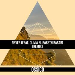 Never (feat. Olivia Elizabeth Basar) (Remix)